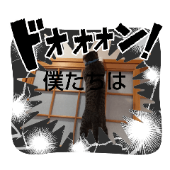 yumehei_20240912202238