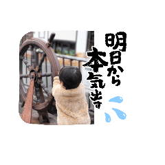 snowman_20240912211644