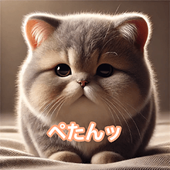 cute cats 913