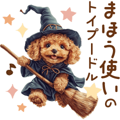 Cute Puppy Toy Poodle Wizard