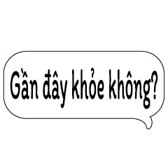 Vietnamese_Language common conversation2