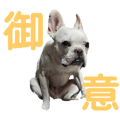 Tetsumaru_20240913203324