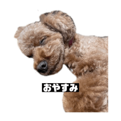 ikurachan_20240913220116