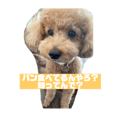 SAYURI_20240913191711