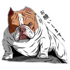 kochibi_20240913224716