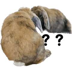 aminchi_20240913232955