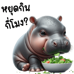 Moo DukDik Hippo Cute