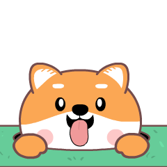 Shiba inu pop up