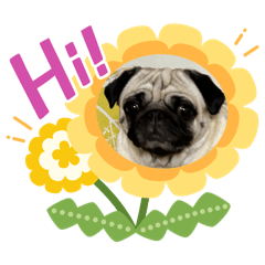 かわいいルンルン - LINE スタンプ | LINE STORE