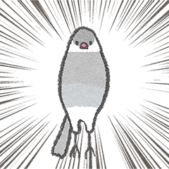 Java sparrow that can be used every day