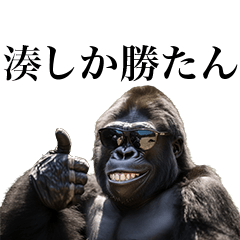 [Minato] Funny Gorilla stamp to send