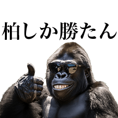 [Kashiwa] Funny Gorilla stamp to send