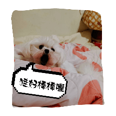 Q比歐嗨唷