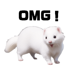 [AI] White ferret Chi-chan 3