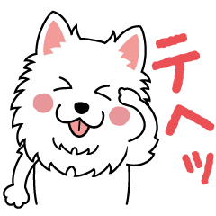 Fluffy Samoyed"Shuhei"