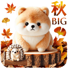 [BIG]autumn shibainu