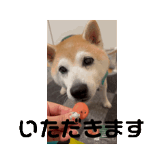 動くサストトスタンプ1