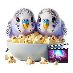 Lavender Budgies:Enjoy Fun Time Together