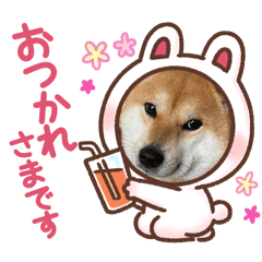 sorasakura_20240915080037