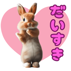 Cute dance Rabbit