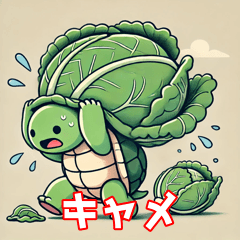 Turtle Carrying a Cabbage