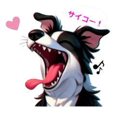 funny border collie dog sticker