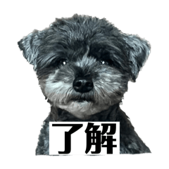 ikurachan_20240915005013
