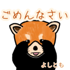 Yoshitomo's lesser panda