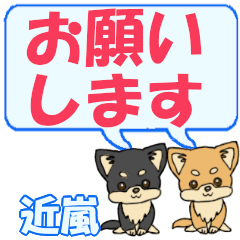 Chikaarashi's letters Chihuahua2