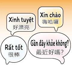 Vietnamese DailyLifeConversations