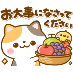 ねこねこにゃんこ♡毎日使える敬語