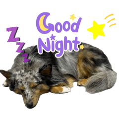 Gabrielle sticker 2