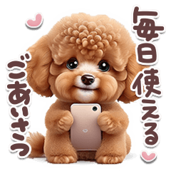 Greetings of small toy poodle -Neo-