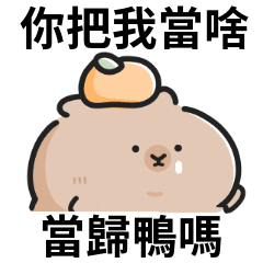 Cute Capybara stickers 05