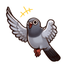 The Ordinary Pigeon,hatoo