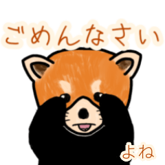 Yone's lesser panda