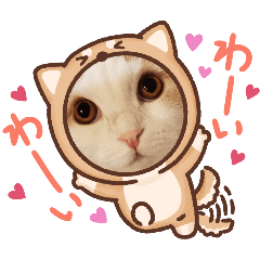 sayuri_20240915120916