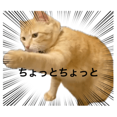 chisa_20240915205612