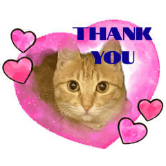 chisa_20240915220644