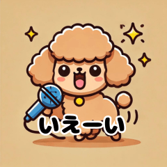 Party Toy Poodle