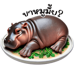หมูดุ๊ก ฮิปโปน้อย ตุ้มปุ๊ก