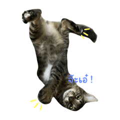 Draco_20240916153606