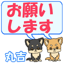 Maruyoshi's letters Chihuahua2