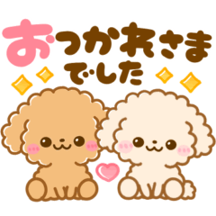 fuwamoco toypoodle everyday