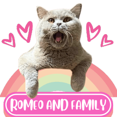 WOOFME WITH ROMEO AND FAMILY