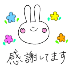 cute rabbit every day