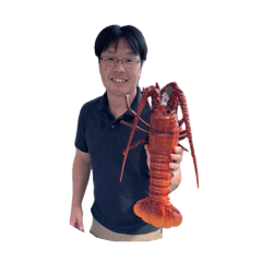 Japanese lobster looks good on him.