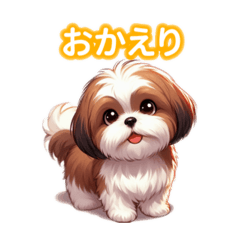 Simply adorable Shih Tzu!