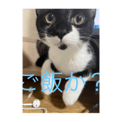 roko_20240916162606