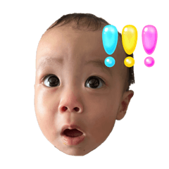 ponokichi_20240916211920